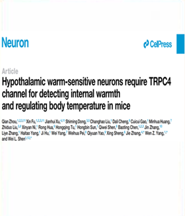 体温与炎症四川省高校重点实验室与上海科技大学合作的研究成果